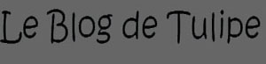 Logo du Blog ChezTulipe